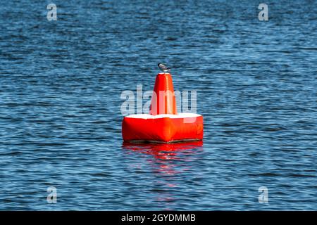 Rote aufblasbare Boje auf dem blauen Meer. Eine Boje ist eine schwimmende Vorrichtung, die viele Zwecke haben kann. Stockfoto