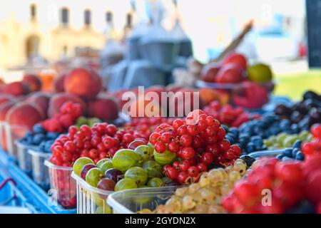 Rote Johannisbeeren, Himbeeren, Stachelbeeren, Heidelbeeren und andere Früchte und Gemüse zum Verkauf auf dem lokalen Bauernmarkt. Frische Bio-Produkte zum Verkauf bei Stockfoto