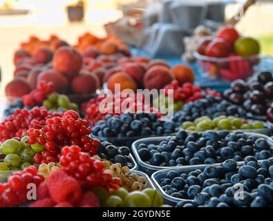 Rote Johannisbeeren, Himbeeren, Stachelbeeren, Heidelbeeren und andere Früchte und Gemüse zum Verkauf auf dem lokalen Bauernmarkt. Frische Bio-Produkte zum Verkauf bei Stockfoto