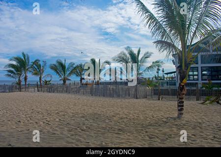 Eine Reihe von Palmen, die an einem teilweise sonnigen Nachmittag im Strandsand von Point Pleasant, New Jersey, gepflanzt wurden -01 Stockfoto