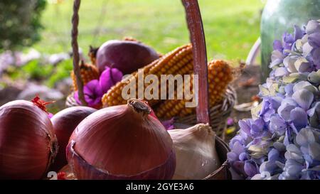 Rote Zwiebeln und Maiskolben in Sammelkörben neben einem Glasbehälter, eine Hortensienblüte getrocknete Blätter, die den Herbst ankündigen Stockfoto