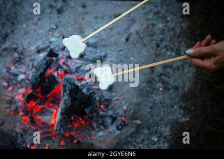 Die Sumpfmarmelibe werden auf den Spiessen über dem Feuer gebraten. Gebratene Sumpflaibe mit offener Flamme auf einem Spieß. Lagerfeuer-Romantik, Sommerabend Stockfoto