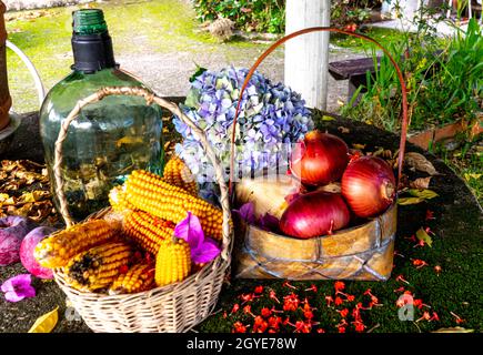 Körbe mit Maiskolben und Zwiebeln zwischen getrockneten Blättern Stockfoto