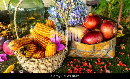 Körbe mit Maiskolben und Zwiebeln zwischen getrockneten Blättern Stockfoto