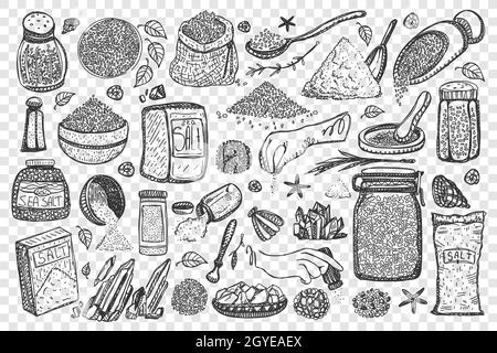 Salz-Doodle-Set. Sammlung von Kochen Gewürze Meer salzige Gewürze in Behältern und Salzkeller Boxen isoliert auf transparentem Hintergrund. Pfeffershake Stockfoto