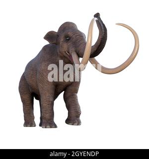 Kolumbianisches Mammut war ein Elefant, der in der pleistozänen Periode von Nordamerika lebte. Stockfoto