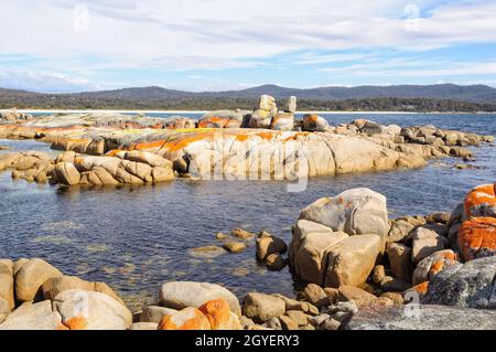 Granitfelsen mit orangefarbenen Flechten - Binalong Bay, Tasmanien, Australien Stockfoto