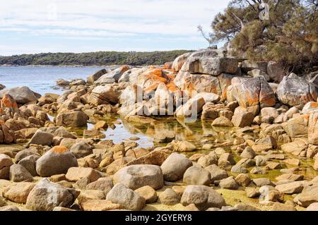 Granitfelsen mit orangefarbenen Flechten - Binalong Bay, Tasmanien, Australien Stockfoto