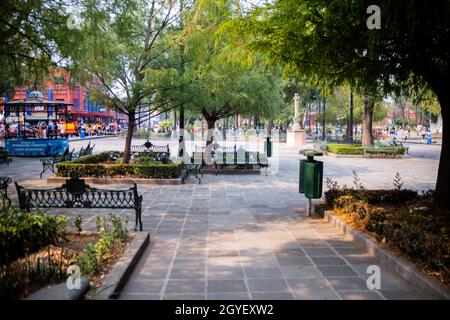 Bäume und grüne Bänke im friedlichen Park von Mexiko-Stadt Stockfoto