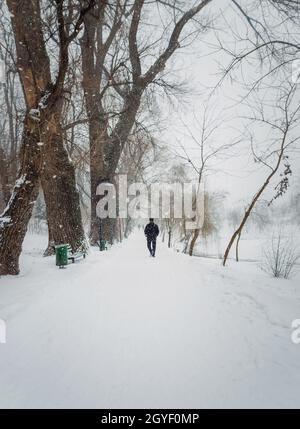 Einsamer Mann, der auf einem verschneiten Gehweg im Winterpark umherstreift. Ruhige und launische Szene, Person, die im Schneefall einen Fußweg geht, Schneesturm-Wehenthe Stockfoto