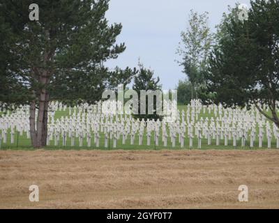 Friedhof voller militärischer Kreuze, die in der Kriegsordnung gefallen sind Stockfoto