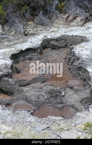 Detail in einem geothermischen Gebiet namens Waiotapu in Neuseeland Stockfoto