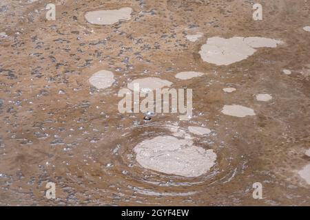 Detail in einem geothermischen Gebiet namens Waiotapu in Neuseeland Stockfoto