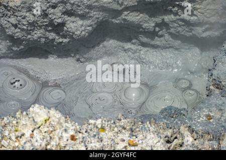 Detail in einem geothermischen Gebiet namens Waiotapu in Neuseeland Stockfoto