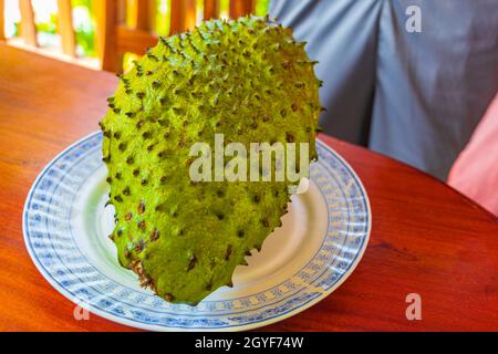 Soursop Sauersack Annona muricata tropische Früchte auf weißem Teller und Holztisch in Bentota Sri Lanka. Stockfoto