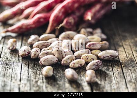 Cranberry-Bohnen. Borlotti-Bohnen. Bohnen Schoten auf Holztisch. Stockfoto