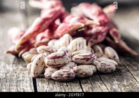 Cranberry-Bohnen. Borlotti-Bohnen. Bohnen Schoten auf Holztisch. Stockfoto