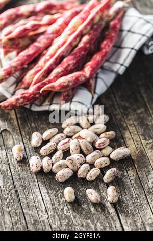 Cranberry-Bohnen. Borlotti-Bohnen. Bohnen Schoten auf Holztisch. Stockfoto