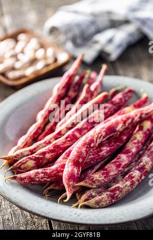 Cranberry-Bohnen. Borlotti-Bohnen. Bohnen Schoten auf einem Teller. Stockfoto