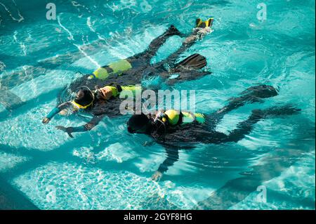 Divemaster und zwei Taucher in den Tauchschulen, Tauchkurs in der Tauchschule. Unterwasser-Schwimmen mit Tauchausrüstung, Hallenbad mit Innenbecken Stockfoto