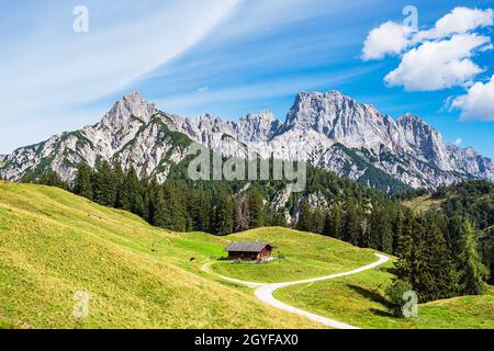 Blick auf die Litzlalm in den Alpen, Österreich. Stockfoto