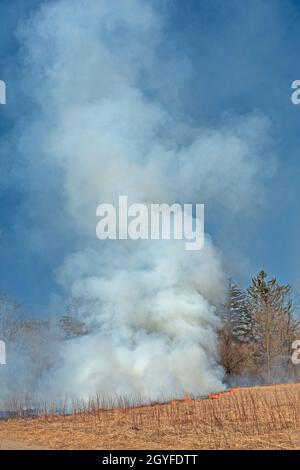 Dramatischer Rauch, der aus einem Räucherbrand im Spring Valley Nature Center in Schaumburg, Illinois, aufsteigt Stockfoto