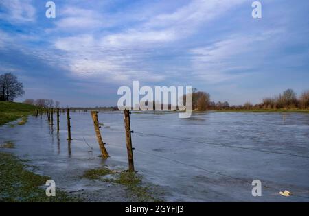 Gefrorenes und überflutetes Flussvorland entlang des niederländischen Flusses IJssel Stockfoto