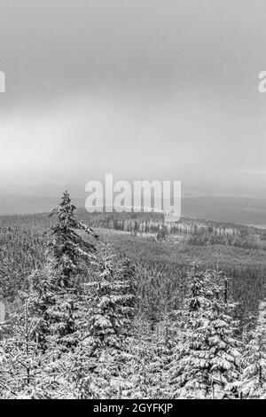 Schwarz-Weiß-Bild von schneebedeckten Tannen und Landschaft am Brocken im Harz Wernigerode Sachsen-Anhalt Deutschland Stockfoto