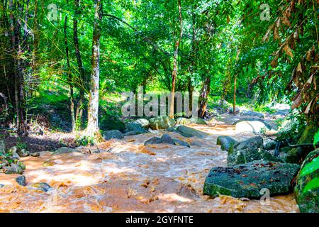 Wang Sao Thong Wasserfall im tropischen Regenwald zur Regenzeit auf Koh Samui in Surat Thani Thailand. Stockfoto