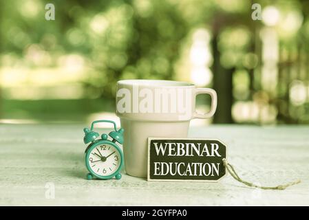 Konzeptdarstellung Webinar Bildung, Business Showcase Online-Meeting oder Präsentation über das Internet Calming and Refreshing Environment, Garde Stockfoto