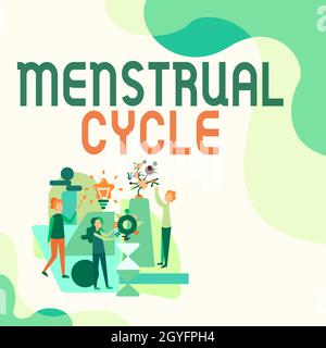 Handschrift Text Menstruationszyklus, Konzept Bedeutung Monatszyklus der Veränderungen in den Eierstöcken und der Gebärmutter Futter drei Kollagen Illustration Üben Ha Stockfoto