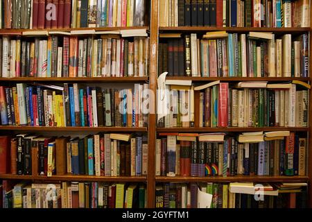 Wand aus Bücherregalen in der Buchhandlung voller Bücher Stockfoto