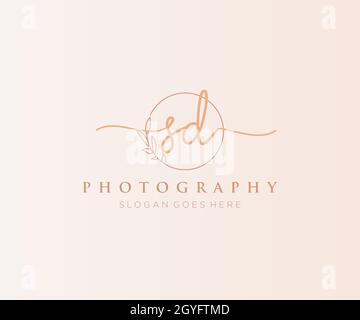 Feminines SD-Logo. Verwendbar für Natur, Salon, Spa, Kosmetik und Beauty Logos. Flaches Vektor-Logo-Design-Template-Element. Stock Vektor