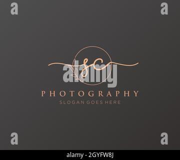 Feminines SC-Logo. Verwendbar für Natur, Salon, Spa, Kosmetik und Beauty Logos. Flaches Vektor-Logo-Design-Template-Element. Stock Vektor