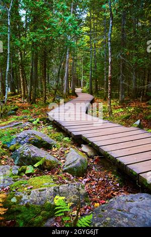 Gewundener Holzweg durch Wald mit großen Felsen in der Nähe Stockfoto