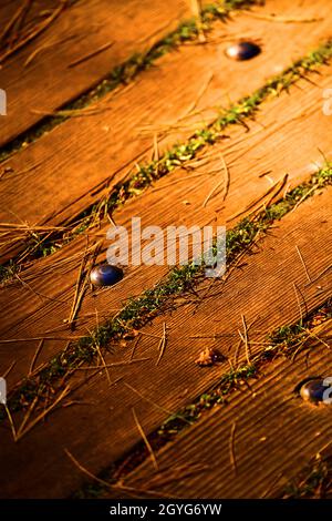 Holzplanken mit Nieten und Gras wachsen durch die Risse und Kiefernnadeln auf der Oberseite Stockfoto