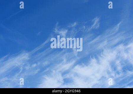 Im Frühling in Melbourne, Australien, sind weiße Wolken mit einem strahlend blauen Himmel zu sehen. Stockfoto