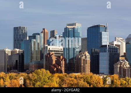 Stadtbild von Calgary mit Wolkenkratzern in der Innenstadt und Bäumen im Herbstlaub Stockfoto