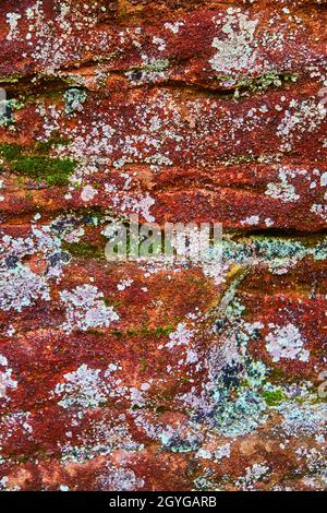 Close up macro shot of red stone with white mold and green moss Stockfoto