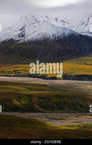 Blick auf die ALASKAN RANGE in der Nähe des Eielson Lookout bei Mile 66 - DENALI NATIONAL PARK Stockfoto