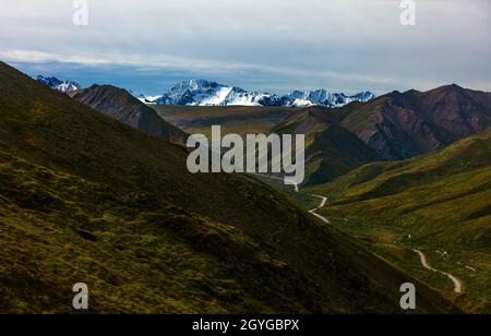 Die ALASKISCHE BERGKETTE ragt über der Tundra im DENALI NATIONAL PARK, ALASKA, hoch Stockfoto