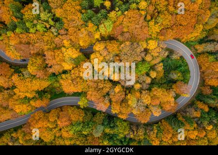 Eine Reise in der Herbstsaison, mit dem Auto durch das wunderbare Laub fahren. Von oben nach unten geschossen von einer Drohne. Stockfoto