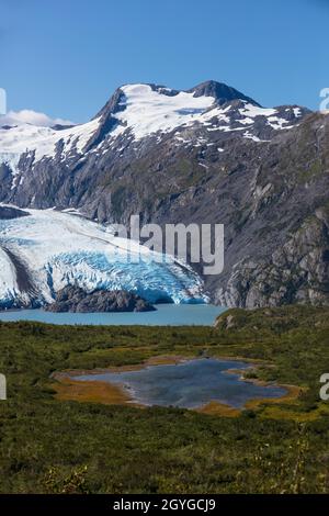 PORTAGE GLETSCHER und See vom Portage Pass Trail aus gesehen - KENAI HALBINSEL, ALASKA Stockfoto