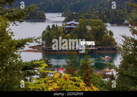 DIE HALIBUT COVE in KACHEMAK BAY ist mit einer 1-stündigen Bootsfahrt von HOMER, ALASKA, aus zu erreichen. Stockfoto