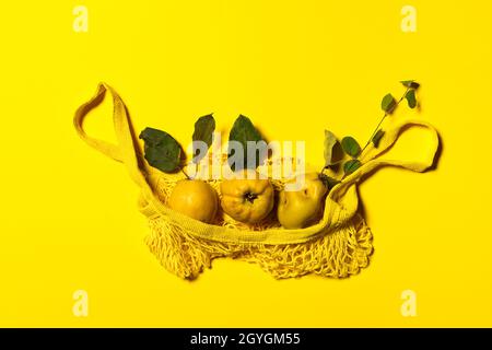 Gruppe von Quitte-Äpfeln mit natürlichen Blättern und Zweig in gelben Netzstring-Einkaufstasche. Flach auf gelbes Papier legen. Früchte und Blätter mit natürlichem Fleck Stockfoto