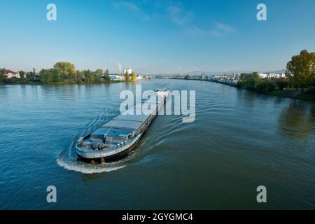 DEUTSCHLAND, BADEN-WÜRTTEMBERG, WEIL-AM-RHEIN, BINNENSCHIFF AUF DEM RHEIN Stockfoto