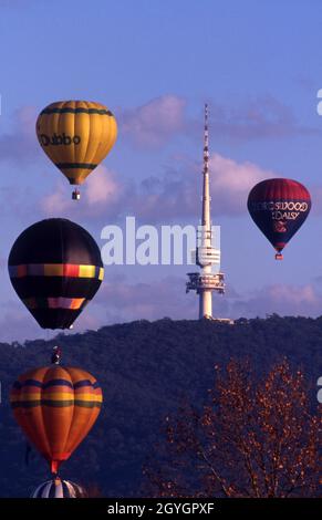 Die Canberra Hot Air Balloon Spectacular wird jährlich veranstaltet. Hier und im Hintergrund ist der Telstra Tower auf dem Black Mountain zu sehen. Stockfoto