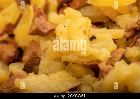 Gebratene Kartoffeln mit Pilzen, Nahaufnahme, selektiver Fokus. Ein traditionelles Dorfgericht Stockfoto