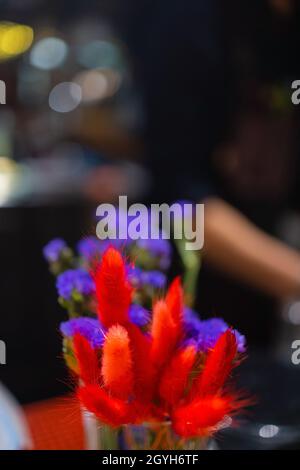 Getrocknete bunte Blume für die Dokumentation Zwecke Nahaufnahme Stockfoto