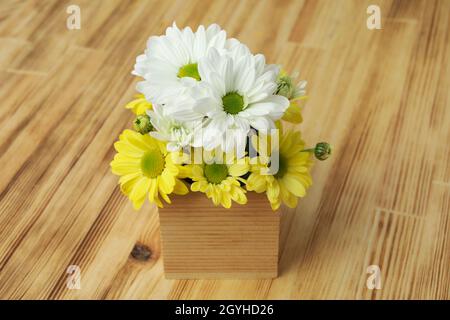 Mini-Box mit Chrysanthemen auf Holzhintergrund. Stockfoto